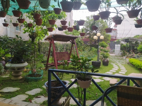 Nhà sân vườn ở Tân Thành