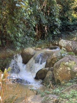 Cần Bán gấp 1000m2 vườn hồng view đẹp tại Trạm Hành, Đà Lạt Giá chỉ 860 triệu