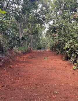 Cần Bán gấp 1000m2 vườn hồng view đẹp tại Trạm Hành, Đà Lạt Giá chỉ 860 triệu