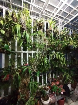 Bán nhà mặt tiền thụt hẻm xe hơi nở hậu49m2 Ngô Gia Tự Phường 4 Quận 10 Giá 10.5 tỷ