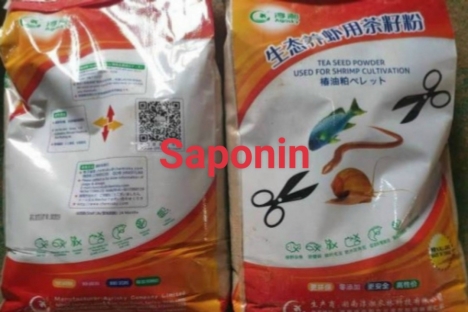 saponin diệt tạp, saponin nguyên liệu