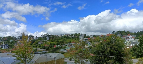 Cần bán gấp đất nền Biệt Thự view thoáng đường Nam Hồ, Đà Lạt 264m2 giá chỉ 7.5 tỷ