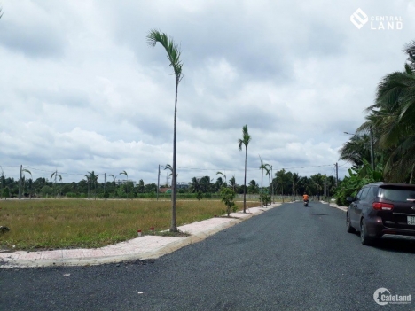 Đất nền khu dân cư Tân Hương giá rẻ