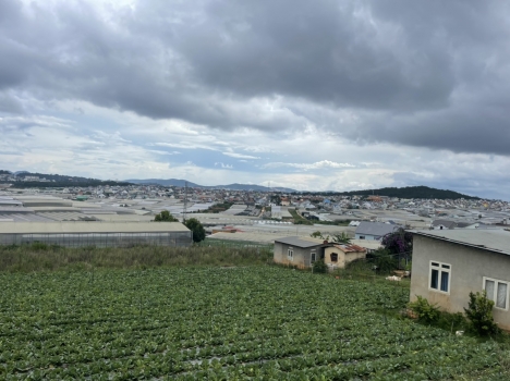 Cần bán gấp Nhà đẹp tại Thái Phiên, Đà Lạt 268m2 giá chỉ 3.5 tỷ