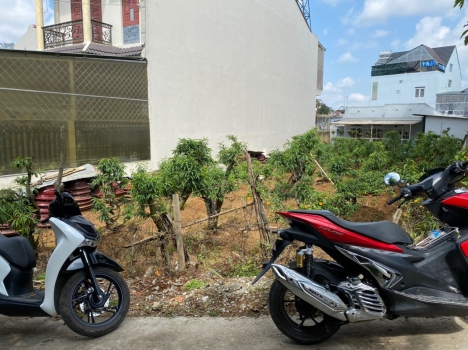 BÁN ĐẤT NGÃ NĂM ĐẠI HỌC ĐÀ LẠT