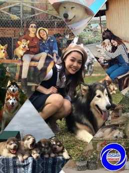 Tour du lịch Đà Lạt 3N3Đ