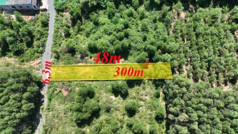 HOT: Sỡ hữu lô đất 6x48 ngay cạnh KCN Becamex Hàm Tân, cách Quốc lộ 55 200m giá chỉ 1xxtr/1m.
