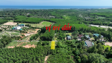 HOT: Sỡ hữu lô đất 6x48 ngay cạnh KCN Becamex Hàm Tân, cách Quốc lộ 55 200m giá chỉ 1xxtr/1m.
