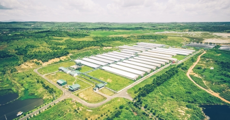 Đất Trang Trại Hàm Thuận Nam Bình Thuận Giá 600 ngàn
