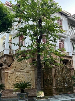 Cần bán nhà phân lô KĐT Trung Yên, 205m2, MT 16m, giá 55 tỷ, lô góc kinh doanh đẳng cấp.