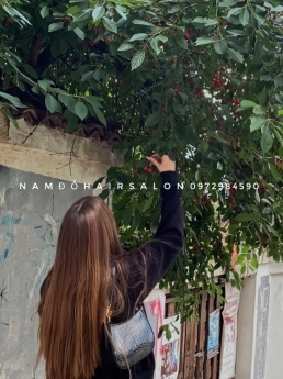 Địa Chỉ Nhuộm, Màu Tóc Vàng Khói Đẹp Giá Rẻ Hoài Đức - Nam Đỗ Hair Salon