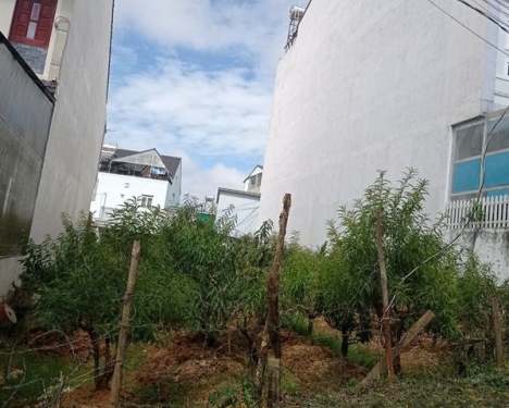 BÁN ĐẤT NGÃ NĂM ĐẠI HỌC ĐÀ LẠT