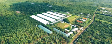 Đất Trang trại đang cho thuê 430 triệu tại Hàm Thuận Nam,Bình Thuận