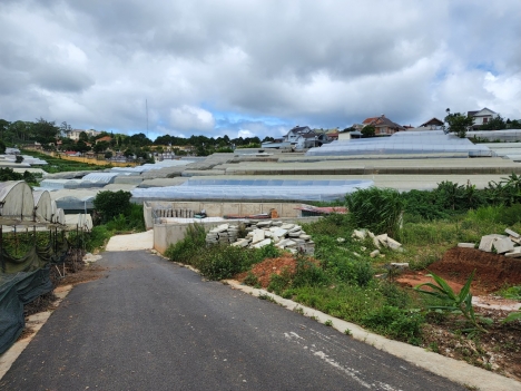 Cần bán gấp đất đường Lâm Văn Thạnh, Đà Lạt 100m2 giá 2.2 tỷ