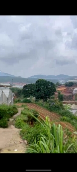 Cần bán gấp đất rộng view đẹp đường Cao Thắng, Đà Lạt 1398m2 giá 15 tỷ