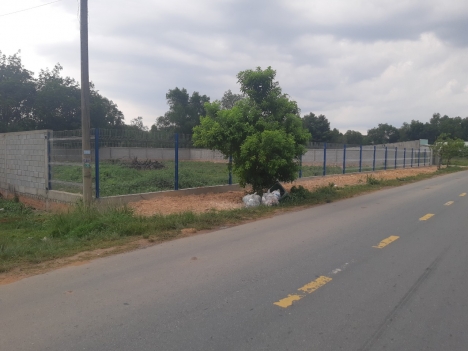 Mặt tiền Nguyễn Thị Rành 2650m2 vuông vức siêu đẹp, gần UBND Nhuận Đức, Củ Chi, 52.9 tỷ.