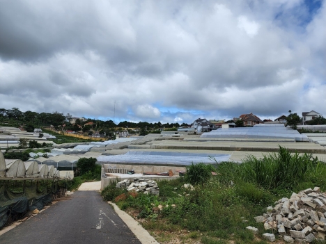 Cần bán gấp đất đường Lâm Văn Thạnh, Đà Lạt 100m2 giá 2.2 tỷ