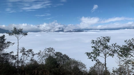Siêu Phẩm Y Tý, Lào Cai.1999.1m2 sapa 2 Biển mây