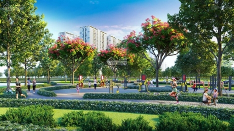 Gia đình cần bán đất tại Anh Dũng 6, Hải Phòng