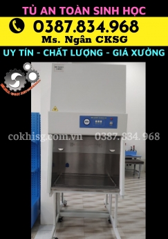 TỦ AN TOÀN SINH HỌC CẤP 2 1 Người Sử Dụng