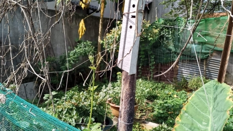 Bán gấp lôt 6x16 Hẻm Xe hơi 1 xẹc Nguyễn Xiển, đối diện Vinhomes gía chỉ 3,7 tỷ