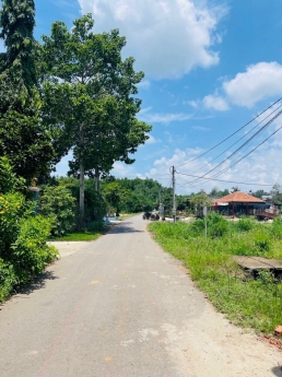 BÁN ĐẤT SÀO BÌNH PHƯỚC - ĐỂ XÂY NHÀ MỚI