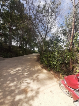 Cần bán gấp đất rộng mặt tiền đường Hoàng Hoa Thám, Đà Lạt 1000m2