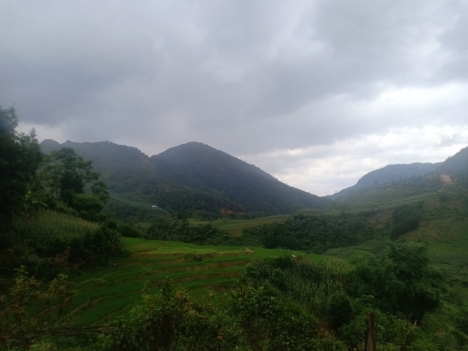 Bán đất sapa 2 - Bán đất 1000m²  thôn sim san , xã y tý, bát xát, lào cai