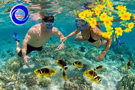 Tour Phú Quốc 3N3Đ Tết Âm Lịch