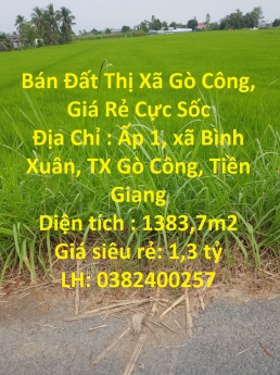 Bán Đất Thị Xã Gò Công, Giá Rẻ Cực Sốc