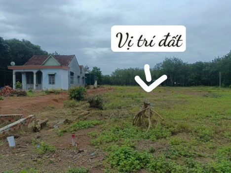 Bán đất ngay Khu Công nghiệp Becamex Đồng Phú Sổ Sẵn 3,5 triệu/m2.
