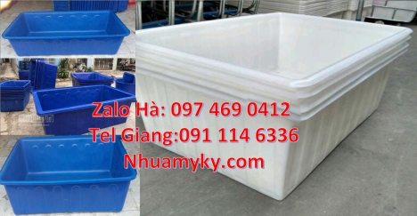 thùng đựng hạt nhựa Thùng dung tích lớn, Bán thùng nhựa tròn 3000 lít, thùng nhựa tròn 1100 l