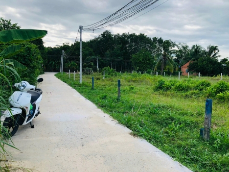 Mua đất là phất
