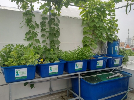 Thùng nhựa chữ nhật, thùng nhựa nuôi cá dung tích 1000l, 1100l