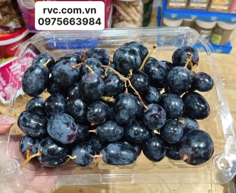 Công ty chuyên cung cấp hộp nhựa trái cây 1kg chất lượng, giá tốt