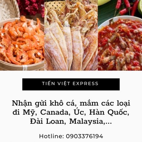 Nhận Gửi Hàng Thực Phẩm Đi Nước Ngoài Tiến Việt Express