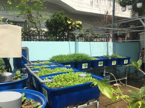 Thùng nhựa chữ nhật, thùng nhựa nuôi cá dung tích 1000l, 1100l