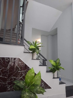 Phường 6 Cách mạng Tháng 8 nhàTân Bình  nhà đẹp vào ở ngay 50m2 nhỉnh