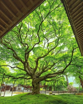 LIỀN KỀ KHU HÀ ĐÔ, CANH TRUNG CƯ 22 TẦNG, NGANG 5 ( 90M2), VEW CÔNG VIÊN HỒ NƯỚC CHỈ HƠN 7