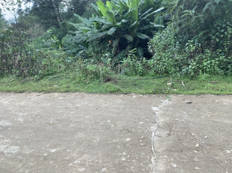 Bán Mảnh Đất View triệu đô, ngắm trọn ruộng bậc thang và biển mây tại Y TÝ - BÁT XÁT- LÀO CAI