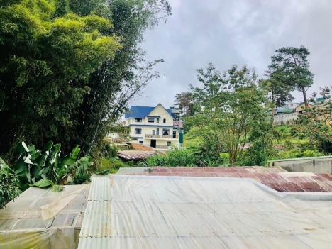 Bán gấp đất nền Biệt Thự mặt tiền đường Đống Đa, Đà Lạt 326m2 giá 13 tỷ