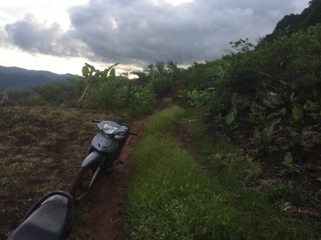 Mảnh Đất THỔ NHƯỠNG TỐT VIEW ĐẸP Diện Tích Lớn Tại  Chiềng Sơn, Mộc Châu Gía Tốt