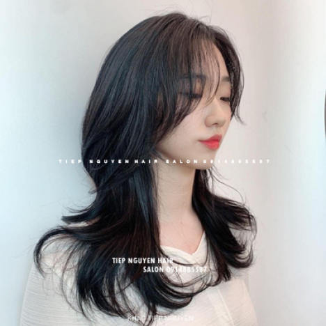 84 style nhuộm tóc hidden thời trang cá tính cho phái nữ - Tiệp Nguyễn Hair Salon