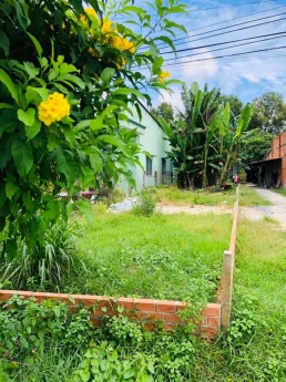 Ở Đây có Bán Đất-GiáHấp Dẫn Hơn Người Yêu Cũ...
