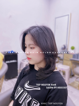 8 style nhuộm tóc hidden độc đáo cá tính cho nữ, học nghề tóc -  Tiệp Nguyễn Hair Salon