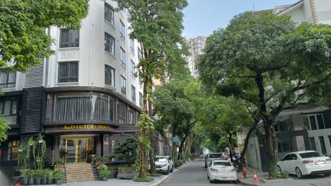Bán tòa nhà 120m2, Hoàng Ngân, Cầu Giấy, MT11m, 10T, lô góc, SIÊU KINH DOANH.