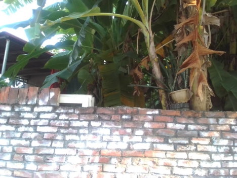 Bán đất Ỷ Lan Gia Lâm_102 m2_4,5 tỷ