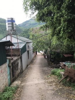 Đất Mộc Châu - Mảnh đất có vườn cây ăn quả, Gần QL6 có sắn 1 ngôi nhà nhỏ và rất nhiều cây ăn quả