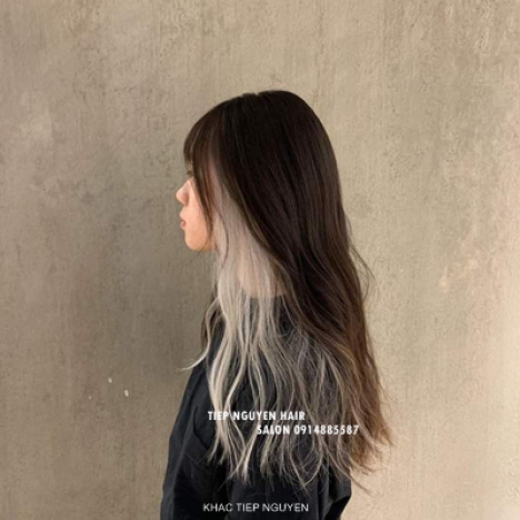 Top 9 màu nhuộm hidden độc đáo mới lạ dành cho nàng - Học Nghề Tóc Tiệp Nguyễn