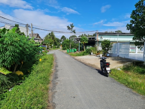 Siêu phẩm : Chân Dài Tới Nách 